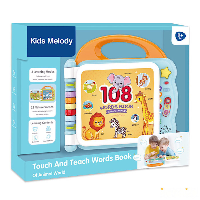 Touch and Teach Word Book