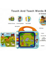 Touch and Teach Word Book